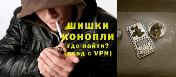шишки Волоколамск