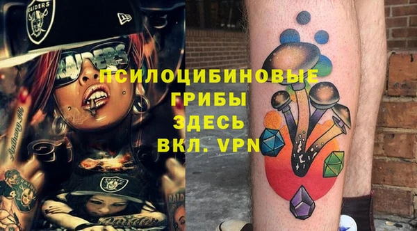 шишки Волоколамск
