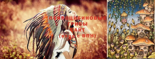 PSILOCYBIN Володарск