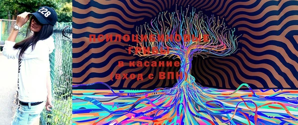 mdma Волосово