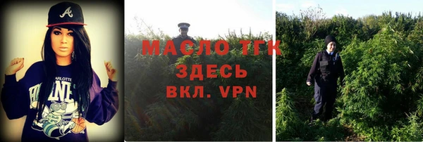 шишки Волоколамск